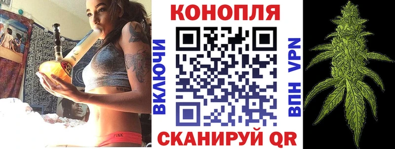 Бошки марихуана план  Купить  Спасск-Рязанский 